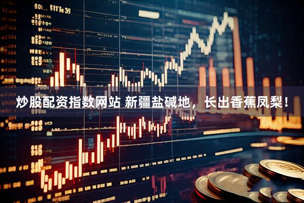 炒股配资指数网站 新疆盐碱地，长出香蕉凤梨！